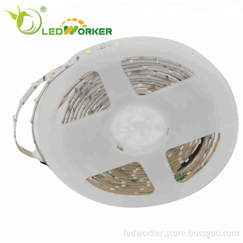 IP20 Grade 3528 LED Strip, CRI95 High CRI LED Light Strip for Outdoor